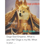 DOGE CLAN X