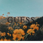 Guess Los Angeles