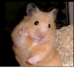 Hamster world :D