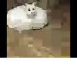 jajaungachatuber
