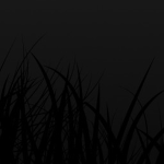Recrimination