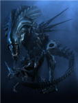Avp Fan Club
