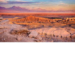 THE FACELESS DESERT MONSTER MODLES