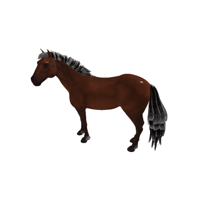 cavalo