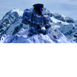 The Snow place