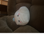 Boxy the boy