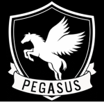 Pegasus Global Security (PGS)