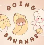 -PUSHEEN-