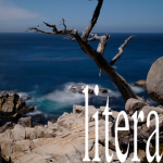 Litera