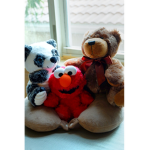 The bears team :-)