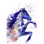 Pepper Mount Riding Academy