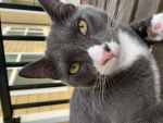 Minou’s place