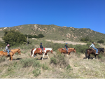 HorseRidingTales!!!