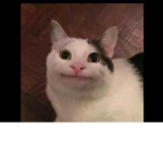 smileys face :)