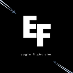 Eagle Flight Simulator
