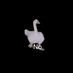 SPOOKA