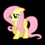 fluttershy