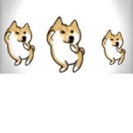 dogez rule da earth