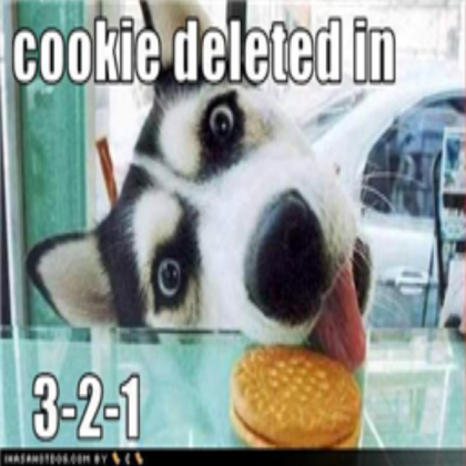cookie dog Roblox decal