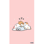 Lazy123