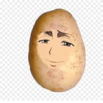 ATTACK ON POTATO