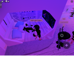 Pinguin brother’s