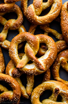 ~The Pretzel Clan~
