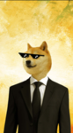 cool doge peoples