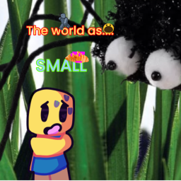 the world as small