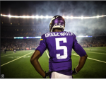 skol vikings