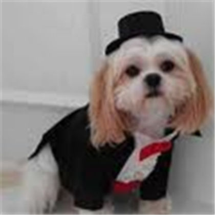 dog Roblox decal