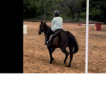 river star equestrian center :)
