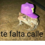 Los cumbiones (QUE CHILLE)
