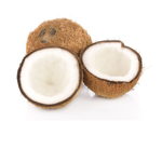 Coconut brothers and friends