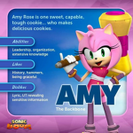 •Amy Rose's Group•