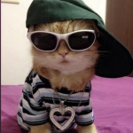 TheKawaiiUwuPapiChuloChudFartMasterGoats