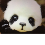 |-DON’T STEAL MY CUTENESS-|