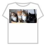 Cat Group