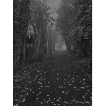 Forest Of Monsters