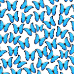 ~the2butterflies~