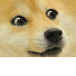 Cringey Doge