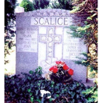 Scalice Crime Family