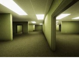 Survive BACKROOMS!!