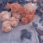 aesthetically kind <3