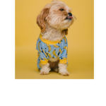 Banana pup squad