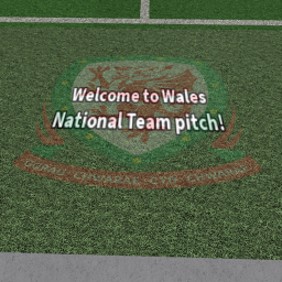 WAL || Wales National Team Match Pitch
