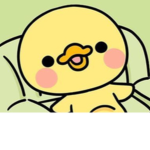 The ducks boi