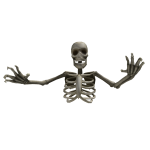Necromancer Skeleton Guard(Back)