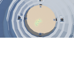 fight to the death