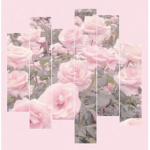 Pinkk